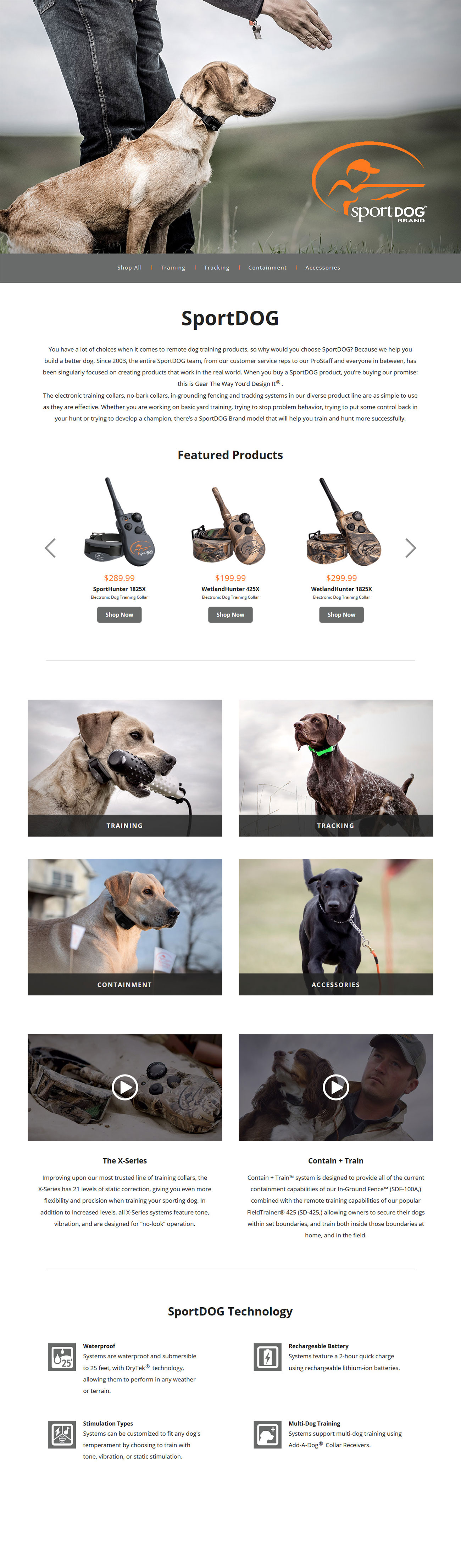 web-development-image-1