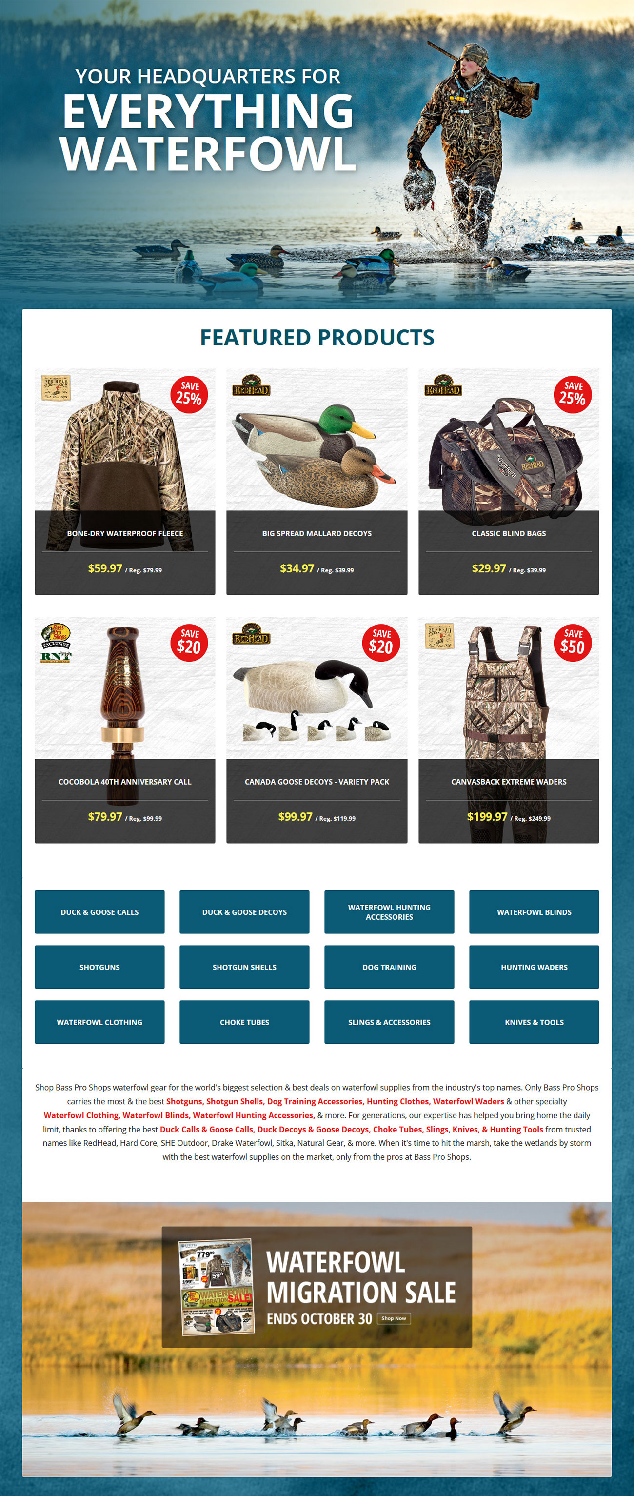 web-development-image-4