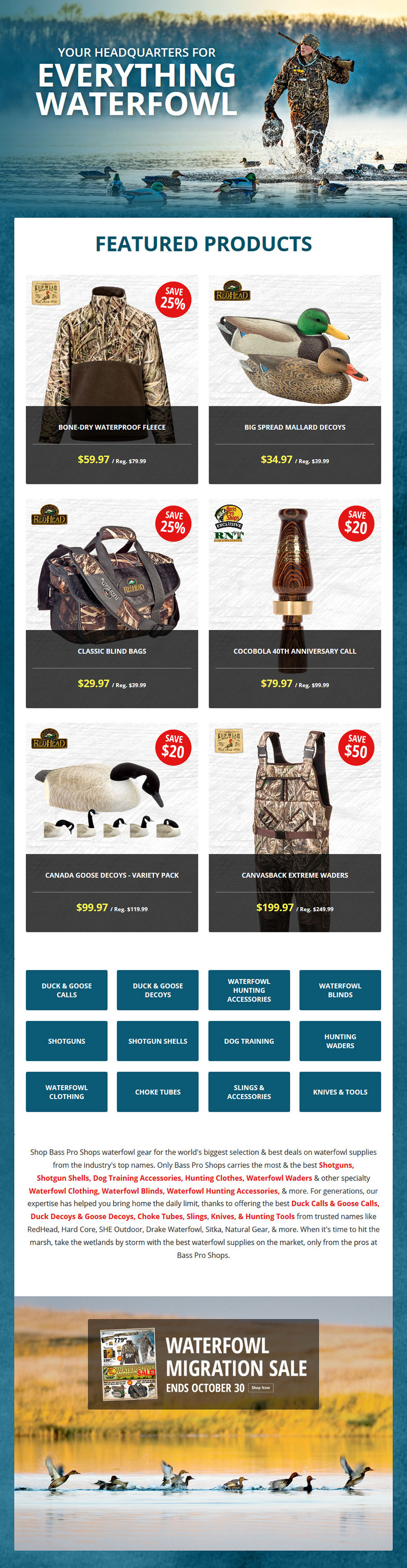 web-development-image-5